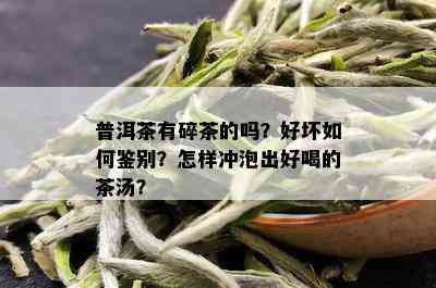 普洱茶有碎茶的吗？好坏如何鉴别？怎样冲泡出好喝的茶汤？