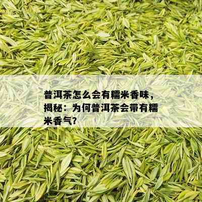 普洱茶怎么会有糯米香味，揭秘：为何普洱茶会带有糯米香气？