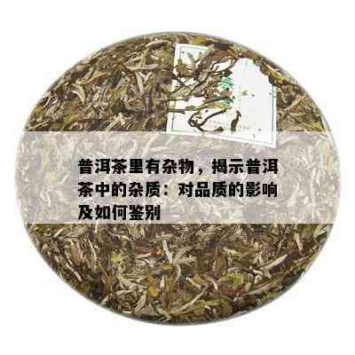 普洱茶里有杂物，揭示普洱茶中的杂质：对品质的影响及如何鉴别