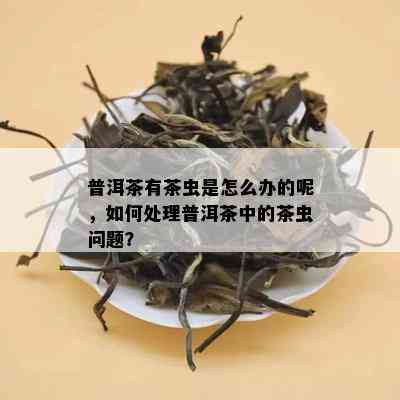 普洱茶有茶虫是怎么办的呢，如何处理普洱茶中的茶虫问题？