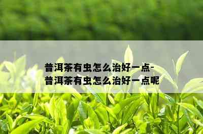 普洱茶有虫怎么治好一点-普洱茶有虫怎么治好一点呢