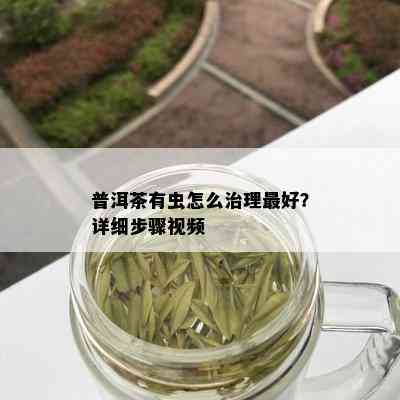 普洱茶有虫怎么治理更好？详细步骤视频