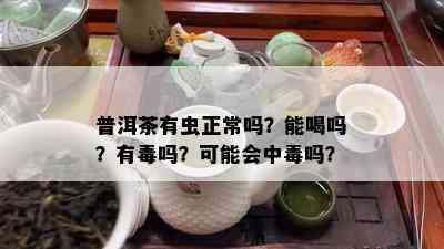 普洱茶有虫正常吗？能喝吗？有吗？可能会中吗？