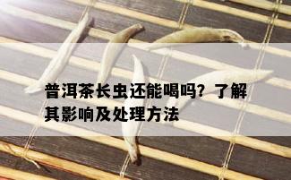 普洱茶长虫还能喝吗？了解其影响及处理方法