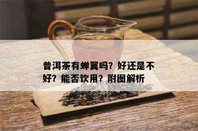 普洱茶有蝉翼吗？好还是不好？能否饮用？附图解析