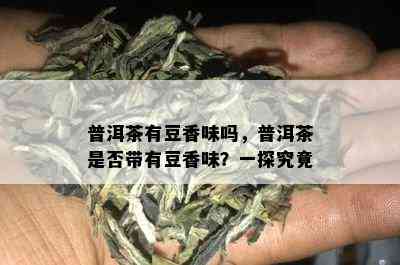 普洱茶有豆香味吗，普洱茶是否带有豆香味？一探究竟