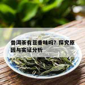 普洱茶有豆香味吗？探究原因与实证分析