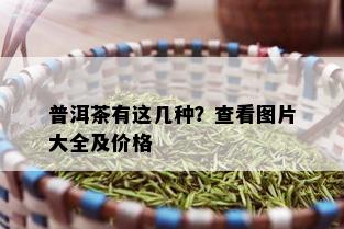 普洱茶有这几种？查看图片大全及价格