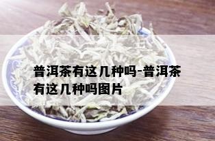 普洱茶有这几种吗-普洱茶有这几种吗图片