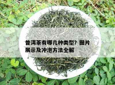 普洱茶有哪几种类型？图片展示及冲泡方法全解