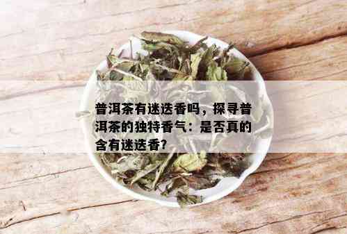 普洱茶有迷迭香吗，探寻普洱茶的独特香气：是否真的含有迷迭香？