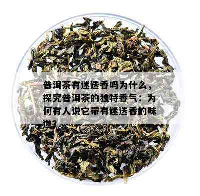 普洱茶有迷迭香吗为什么，探究普洱茶的独特香气：为何有人说它带有迷迭香的味道？