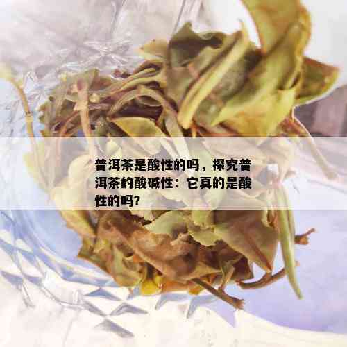 普洱茶是酸性的吗，探究普洱茶的酸碱性：它真的是酸性的吗？