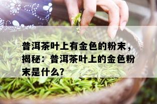 普洱茶叶上有金色的粉末，揭秘：普洱茶叶上的金色粉末是什么？