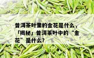 普洱茶叶里的金花是什么，「揭秘」普洱茶叶中的“金花”是什么？