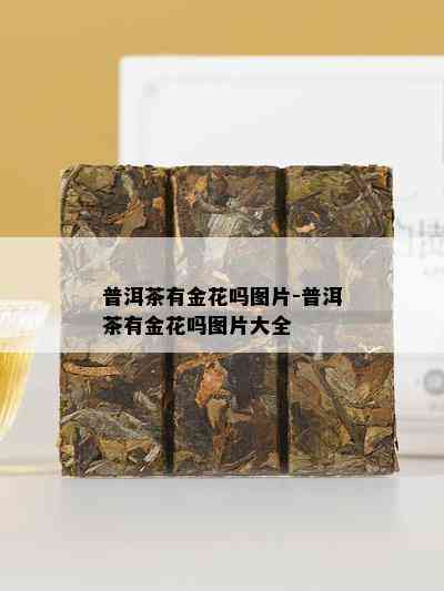 普洱茶有金花吗图片-普洱茶有金花吗图片大全