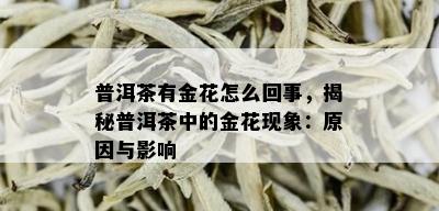 普洱茶有金花怎么回事，揭秘普洱茶中的金花现象：原因与影响