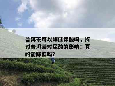 普洱茶可以降低尿酸吗，探讨普洱茶对尿酸的影响：真的能降低吗？