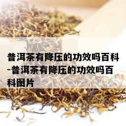 普洱茶有降压的功效吗百科-普洱茶有降压的功效吗百科图片