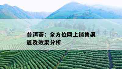 普洱茶：全方位网上销售渠道及效果分析