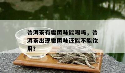 普洱茶有霉菌味能喝吗，普洱茶出现霉菌味还能不能饮用？