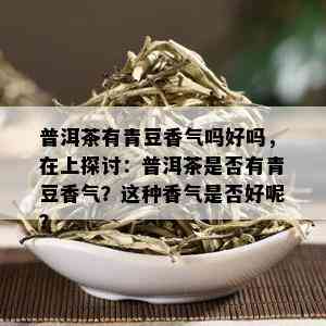 普洱茶有青豆香气吗好吗，在上探讨：普洱茶是否有青豆香气？这种香气是否好呢？