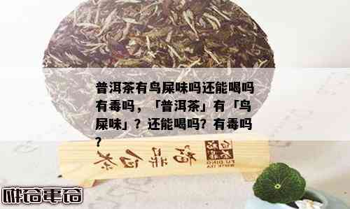 普洱茶有鸟屎味吗还能喝吗有吗，「普洱茶」有「鸟屎味」？还能喝吗？有吗？