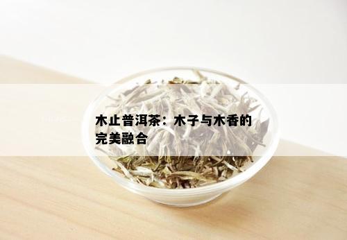 木止普洱茶：木子与木香的完美融合