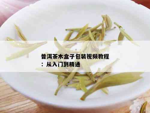 普洱茶木盒子包装视频教程：从入门到精通