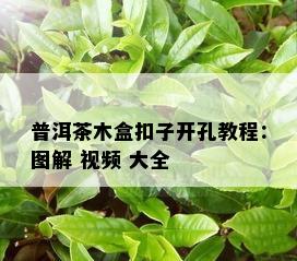 普洱茶木盒扣子开孔教程：图解 视频 大全