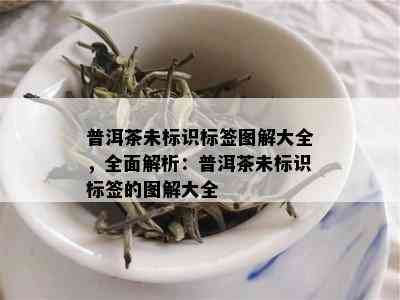 普洱茶未标识标签图解大全，全面解析：普洱茶未标识标签的图解大全