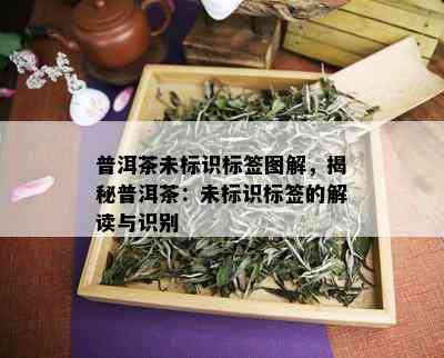 普洱茶未标识标签图解，揭秘普洱茶：未标识标签的解读与识别