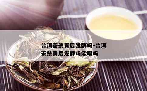 普洱茶杀青后发酵吗-普洱茶杀青后发酵吗能喝吗