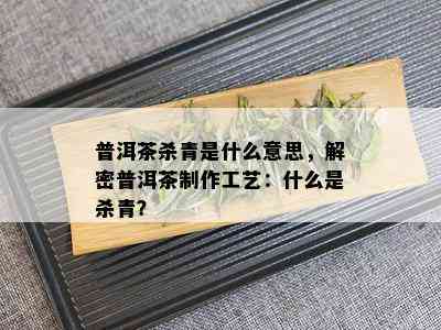 普洱茶杀青是什么意思，解密普洱茶制作工艺：什么是杀青？