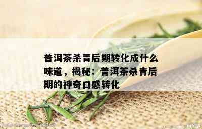 普洱茶杀青后期转化成什么味道，揭秘：普洱茶杀青后期的神奇口感转化