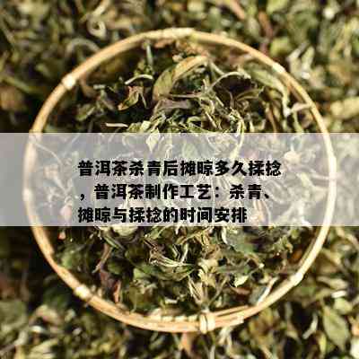 普洱茶杀青后摊晾多久揉捻，普洱茶制作工艺：杀青、摊晾与揉捻的时间安排