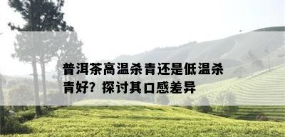 普洱茶高温杀青还是低温杀青好？探讨其口感差异