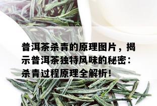 普洱茶杀青的原理图片，揭示普洱茶独特风味的秘密：杀青过程原理全解析！