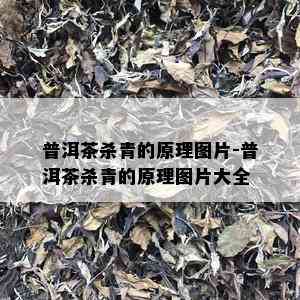 普洱茶杀青的原理图片-普洱茶杀青的原理图片大全