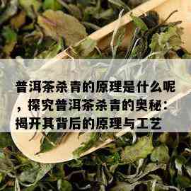 普洱茶杀青的原理是什么呢，探究普洱茶杀青的奥秘：揭开其背后的原理与工艺