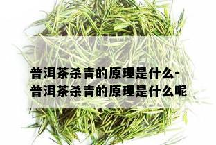 普洱茶杀青的原理是什么-普洱茶杀青的原理是什么呢