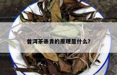 普洱茶杀青的原理是什么？