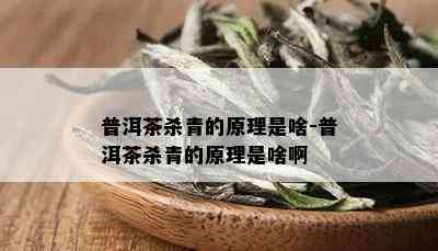 普洱茶杀青的原理是啥-普洱茶杀青的原理是啥啊