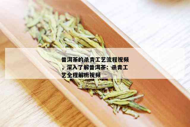 普洱茶的杀青工艺流程视频，深入了解普洱茶：杀青工艺全程解析视频