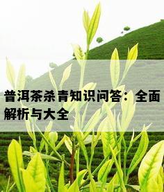 普洱茶杀青知识问答：全面解析与大全