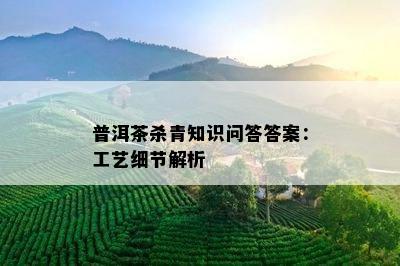 普洱茶杀青知识问答答案：工艺细节解析