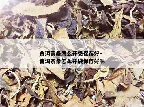 普洱茶条怎么开袋保存好-普洱茶条怎么开袋保存好呢