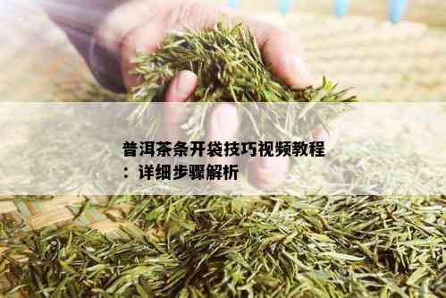 普洱茶条开袋技巧视频教程：详细步骤解析