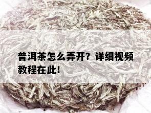 普洱茶怎么弄开？详细视频教程在此！