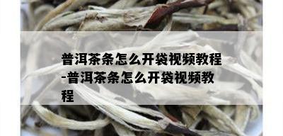 普洱茶条怎么开袋视频教程-普洱茶条怎么开袋视频教程